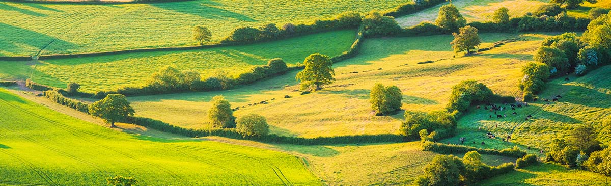 paysages du bocage