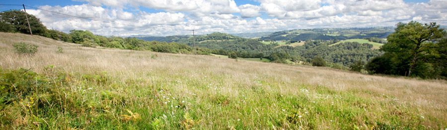 prairie-biodiversite