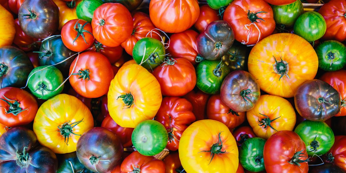 tomates